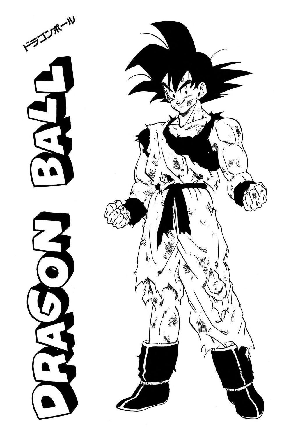 Dragon Ball Volume 19